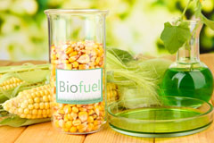 Noneley biofuel availability